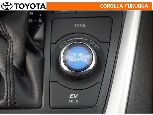 ＲＡＶ４ ハイブリッドＧ　衝突被害軽減システム　４ＷＤ　ＥＴＣ　バックカメラ　ドラレコ　キーレス　スマートキー　盗難防止装置（30枚目）