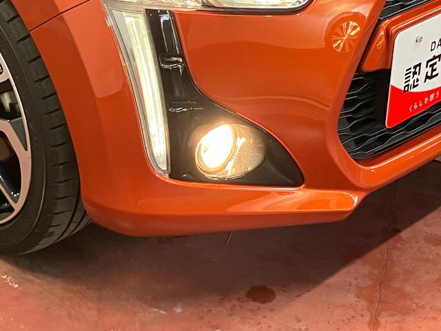 �n���Q���t�H�O�����v