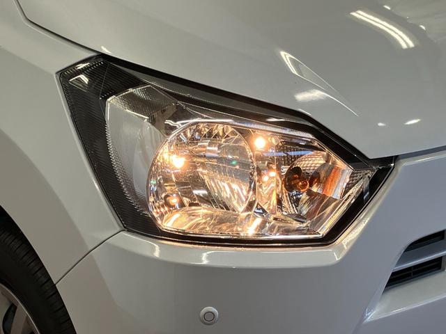 �n���Q���w�b�h�����v