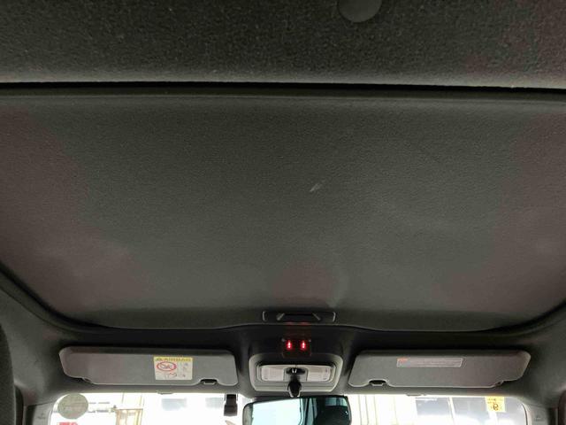 �y�X�J�C�t�B�[���g�b�v�z�@�J�ł���V�F�[�h���t���Ă��܂��B