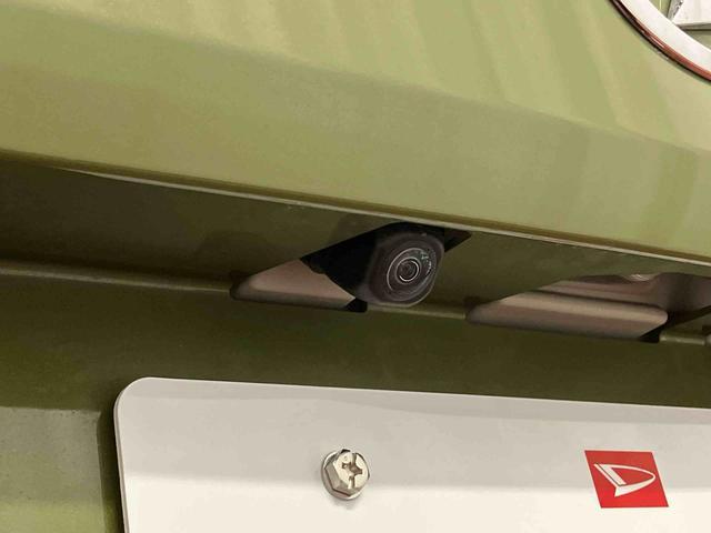 �o�b�N�J����