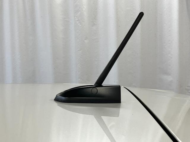 キャスト スタイルＸ　ＳＡＩＩ　下取車　ＣＤオーディオ　ＥＴＣ　ＵＳＢ入力端子　衝突被害軽減システム　盗難防止システム　横滑り防止装置　スマートキー　プッシュスタート　アイドリングストップ　ドアバイザー（43枚目）