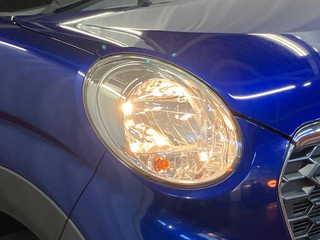 �n���Q���w�b�h�����v