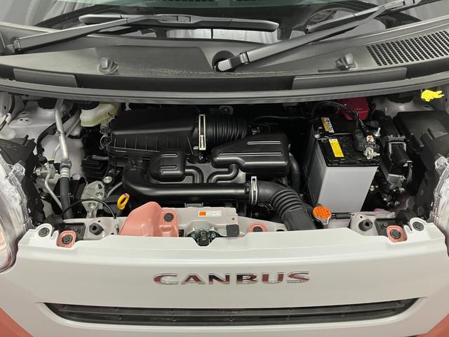 ムーヴキャンバス ストライプスＸ　届出済未使用車　元展示車　禁煙車　衝突被害軽減システム　盗難防止システム　横滑り防止装置　両側電動スライドドア　ＵＳＢチャージャー　スマートキー　プッシュスタート　アイドリングストップ（34枚目）