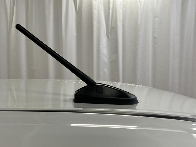 ムーヴキャンバス ストライプスＸ　届出済未使用車　元展示車　禁煙車　衝突被害軽減システム　盗難防止システム　横滑り防止装置　両側電動スライドドア　ＵＳＢチャージャー　スマートキー　プッシュスタート　アイドリングストップ（40枚目）