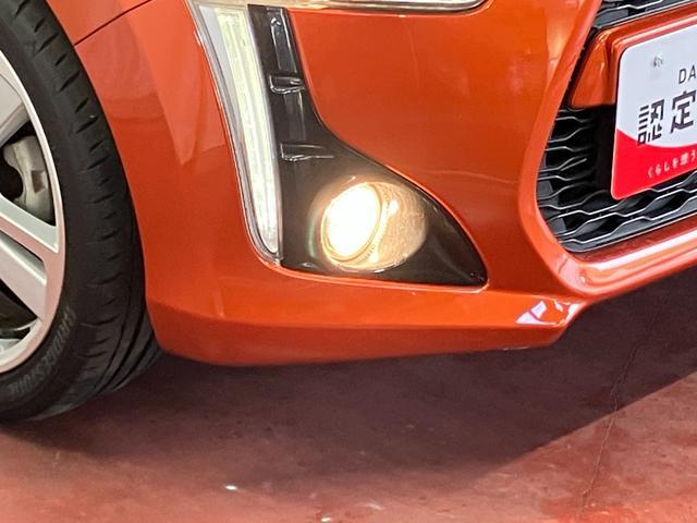 �n���Q���t�H�O�����v