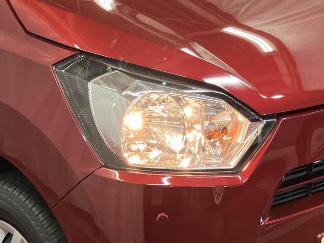 �n���Q���w�b�h�����v