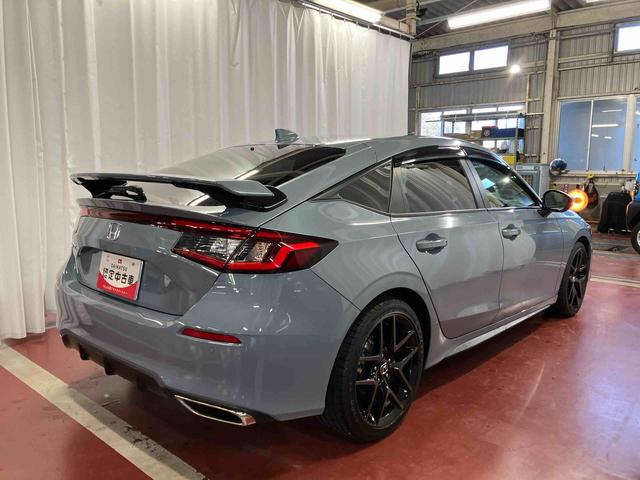 �X�|�[�e�B�[�ȃE�B���O�t���B