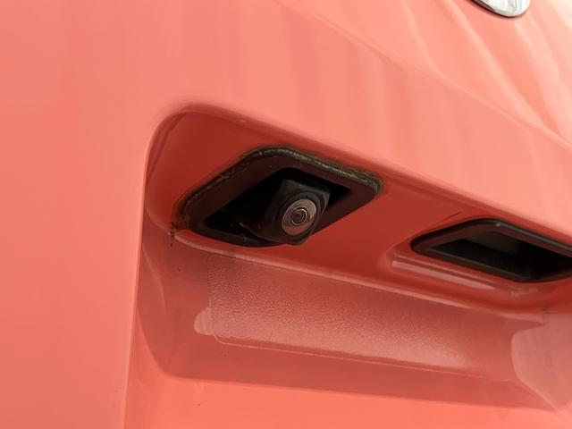 �p�m���}���j�^�[�Ή��J�����i�����j