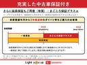 ストライプスＧ　両側パワースライドドア　スマートキー　プッシュスタート　軽減ブレーキ　ブルートゥースオーディオ　リアカメラ　セキュリティ　電格ミラー　フルセグＴＶ　ＬＥＤライト　レーンキープ　フロントベンチシート（64枚目）