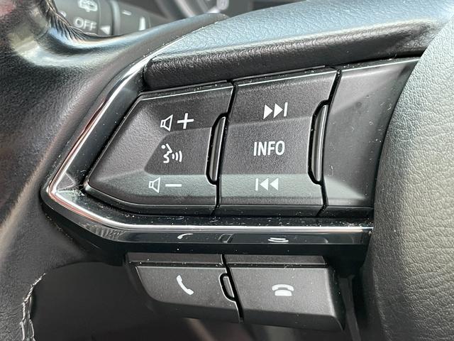 ＣＸ－８ ＸＤ　Ｌパッケージ　ＦＵ１７９８　３６０°ビューカメラ　電子パーキングブレーキ　リアサイドシェード　車間認知支援システム　スマートシティブレーキサポート　ブラインドスポットシステム　レーンキープアシストシステム（40枚目）