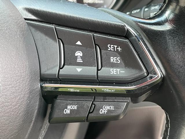 ＣＸ－８ ＸＤ　Ｌパッケージ　ＦＵ１７９８　３６０°ビューカメラ　電子パーキングブレーキ　リアサイドシェード　車間認知支援システム　スマートシティブレーキサポート　ブラインドスポットシステム　レーンキープアシストシステム（41枚目）