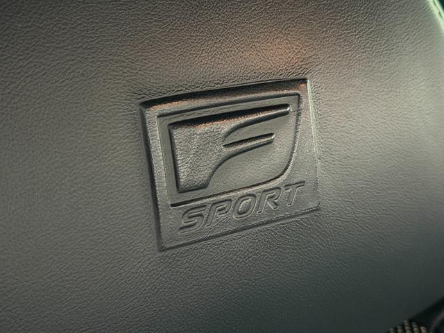 ＬＳ ＬＳ４６０　Ｆスポーツ　ＦＵ３１２３　プリクラッシュセーフティ　レーンキープアシスト　ブラインドスポットモニター　オートマチックハイビーム　レーダークルコン　ドライバ―モニター　ブレンボブレーキ　前後ドラレコ　専用１９ＡＷ（17枚目）