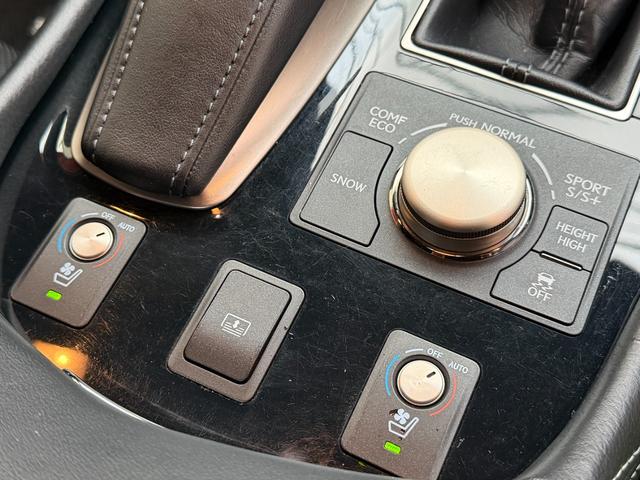 ＬＳ ＬＳ４６０　Ｆスポーツ　ＦＵ３１２３　プリクラッシュセーフティ　レーンキープアシスト　ブラインドスポットモニター　オートマチックハイビーム　レーダークルコン　ドライバ―モニター　ブレンボブレーキ　前後ドラレコ　専用１９ＡＷ（30枚目）