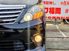 ���ҥ������б����֤��㤤�������Ƥ�������礷�ޤ����ܤ��������ҥۡ���ڡ����ޤǡ�����ɤ��Ǥ�Ǽ�֡��߸˼���¿���Ǻ��桪�̣ɣΣŤǤ��䤤��碌��ǽ�������饤��ʡ����ʡ�����첰������Į�͸��������ܣ��ݣ��� 2