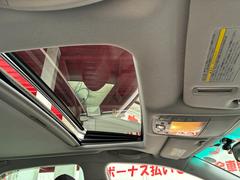 ���饦�� �����������꡼�ȡ��ʥӥѥå��������ƣգ��������������ȣģĥʥӡ��ϥǥ��ե륻���ԣ� 0802583A30260614W002 6