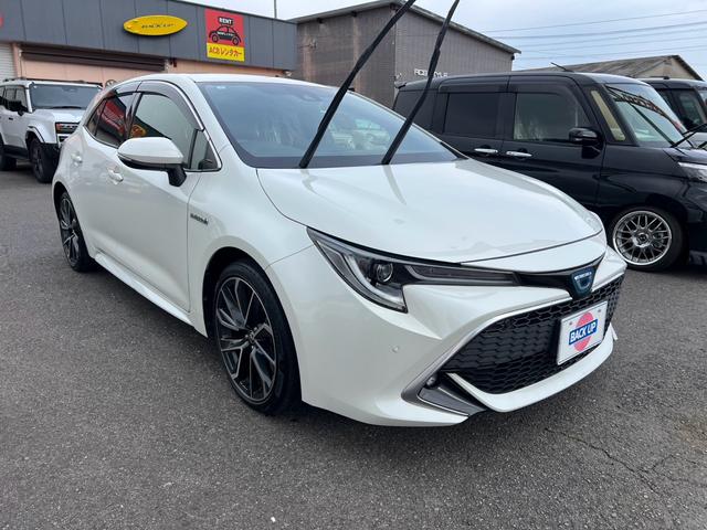 ���S�̐ύڎԊ����B�[�Ԃ������������v�ł��B