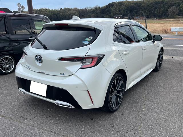 �ʐ^�����ł͂��̎Ԃ̗ǂ��͓`���Ȃ���������܂���̂Ő��񌻎Ԋm�F�ɂ����X�������I