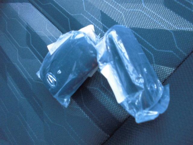 タフト G クロムベンチャー(33枚目)