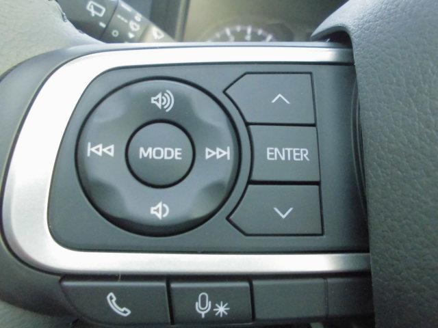 タフト G ダーククロムベンチャー(24枚目)