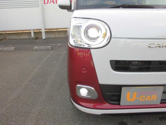 ムーヴキャンバス ストライプスＧ（11枚目）