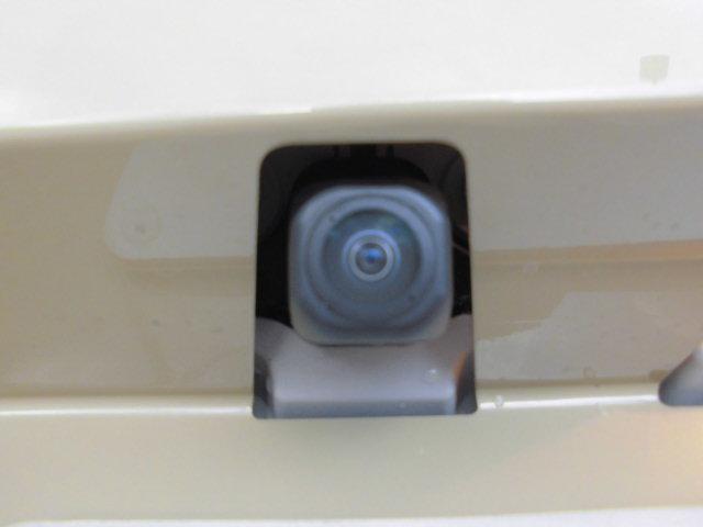 タフト Ｇ（13枚目）