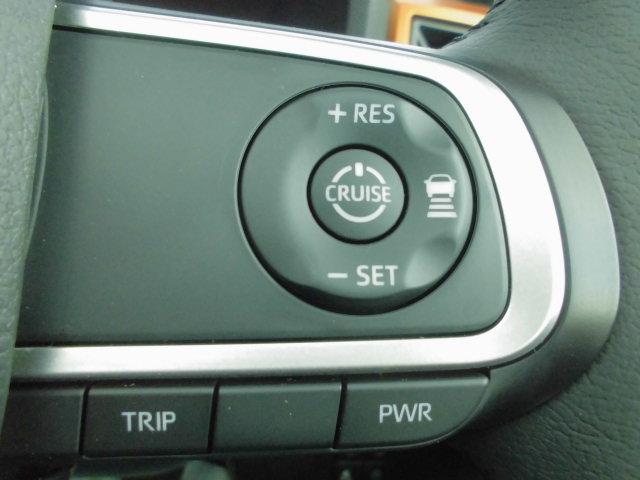 タフト Ｇ（25枚目）