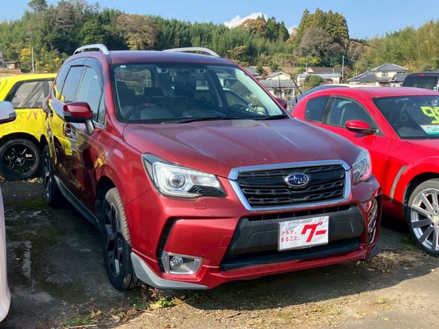 フォレスター Ｓ－リミテッド　メモリーナビ　フルセグＴＶ　バックモニター　ＬＥＤヘッドライト　クルーズコントロール　スマートキー　プッシュスタート　パドルシフト　パワーシート　ＥＴＣ　純正アルミ　シートヒーター　プライバシーガラス（3枚目）