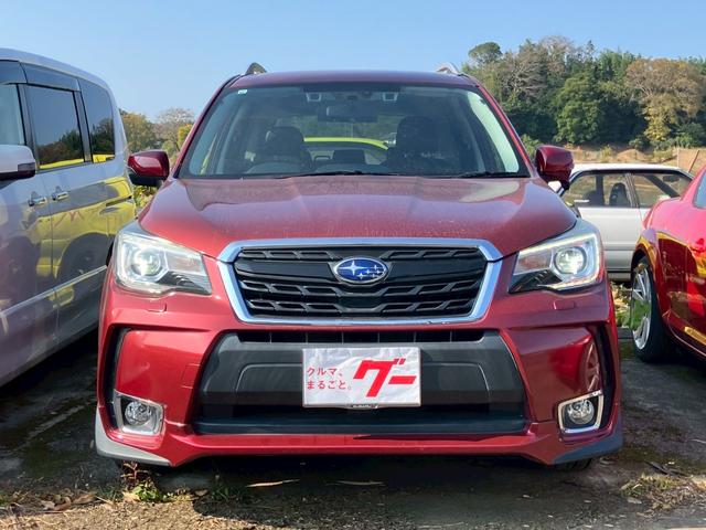 フォレスター Ｓ－リミテッド　メモリーナビ　フルセグＴＶ　バックモニター　ＬＥＤヘッドライト　クルーズコントロール　スマートキー　プッシュスタート　パドルシフト　パワーシート　ＥＴＣ　純正アルミ　シートヒーター　プライバシーガラス（12枚目）