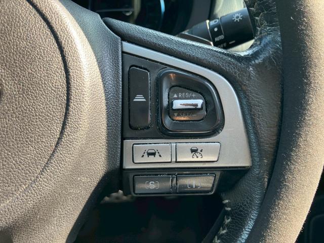 フォレスター Ｓ－リミテッド　メモリーナビ　フルセグＴＶ　バックモニター　ＬＥＤヘッドライト　クルーズコントロール　スマートキー　プッシュスタート　パドルシフト　パワーシート　ＥＴＣ　純正アルミ　シートヒーター　プライバシーガラス（34枚目）