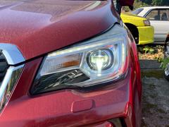 ���꡼�ʥӡ��ե륻���ԣ֡��Хå���˥������̣ţĥإåɥ饤�ȡ����롼������ȥ����롡���ޡ��ȥ������ץå��她�����ȡ��ѥɥ륷�եȡ��ѥ�����ȡ��ţԣá���������ߡ������ȥҡ��������ץ饤�Х������饹 3