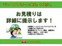 Ｇ　フルセグナビ　ＥＴＣ　スマキー　ＢＫカメラ　ステリモ　禁煙車　レンタカーアップ　点検記録簿　アイドリングストップ　クルーズコントロール　フルフラットシート（58枚目）