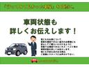 Ｇ　フルセグナビ　ＥＴＣ　スマキー　ＢＫカメラ　ステリモ　禁煙車　レンタカーアップ　点検記録簿　アイドリングストップ　クルーズコントロール　フルフラットシート（59枚目）