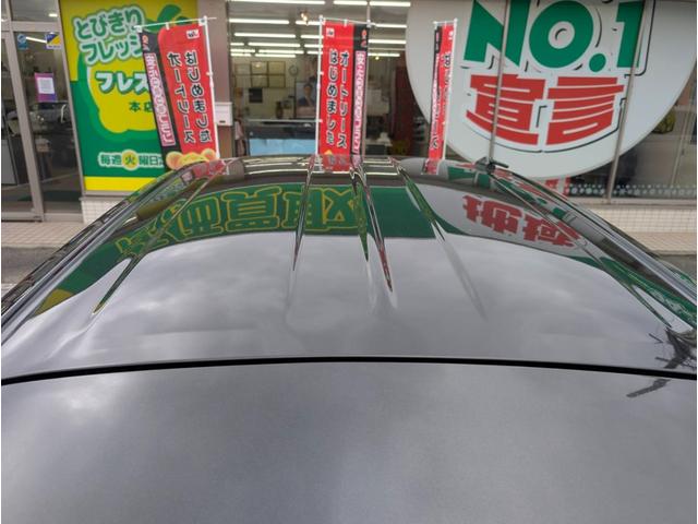 ミライース L SAIII クリアランスソナー 衝突被害軽減システム オートマチックハイビーム キーレスエントリー アイドリングストップ CVT 盗難防止システム ABS ESC CD ミュージックプレイヤー接続可(21枚目)