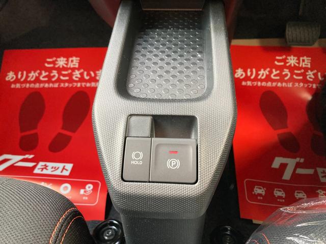 タフト Ｇ　届出済未使用車　電動パーキング　サンルーフ（29枚目）