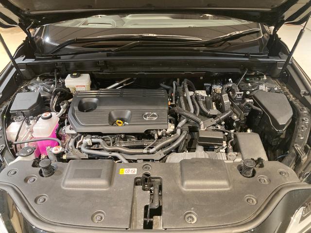 ＮＸ ＮＸ３５０ｈ　Ｆスポーツ　新車保証書／点検記録簿／カードキー／パノラミック／ＨＵＤ／ＢＳＭ／パワーバックドア／本革シート／デジタルインナーミラー／パーキングサポート／電動シート／社外マフラー／追従走行（ＡＣＣ）（49枚目）