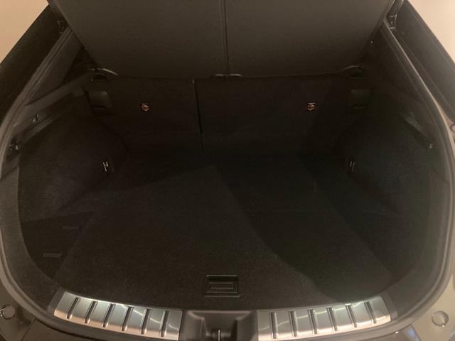 RZ RZ450e バージョンL 電気自動車/パノラミックビュー/14ディスプレイ/パワーリアゲート/電動シート/充電ケーブル/アドバンストドライブ/BSM/ACC(追従機能)(12枚目)