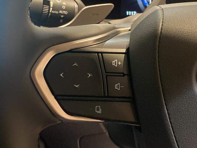 RZ RZ450e バージョンL 電気自動車/パノラミックビュー/14ディスプレイ/パワーリアゲート/電動シート/充電ケーブル/アドバンストドライブ/BSM/ACC(追従機能)(22枚目)