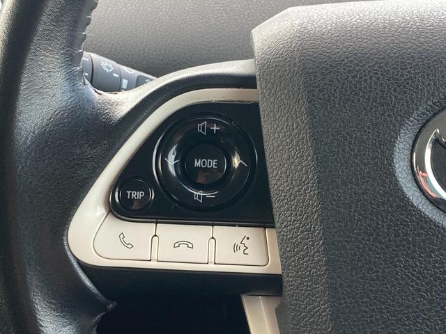 プリウス S ナビ(Bluetooth/CD/DVD/TV)/バックカメラ/ACC(追従機能)(18枚目)