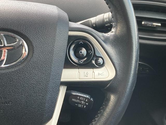 プリウス S ナビ(Bluetooth/CD/DVD/TV)/バックカメラ/ACC(追従機能)(19枚目)