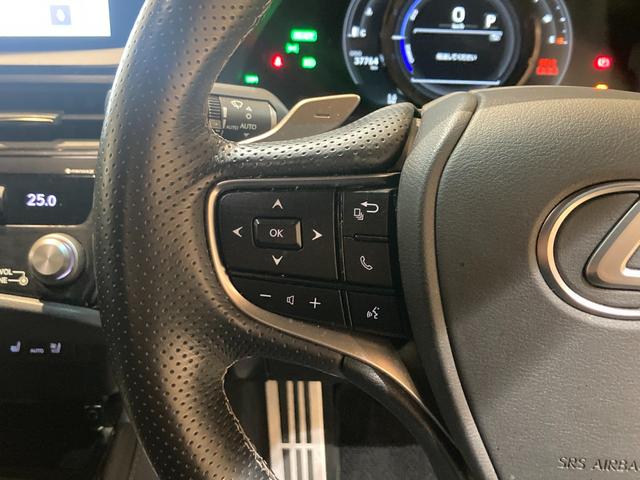 ＥＳ ＥＳ３００ｈ　Ｆスポーツ　ワンオーナー／ＴＲＤフルエアロ／サンルーフ／デジタルインナーミラー／Ｆ　ＳＰＯＲＴ専用オレンジキャリパー／Ｌ　ＴＥＸブラックアルミ／パワーバックドア／置く充電／ＢＳＭ／ＡＣＣ（追従機能）／（21枚目）
