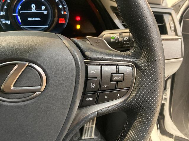 ＥＳ ＥＳ３００ｈ　Ｆスポーツ　ワンオーナー／ＴＲＤフルエアロ／サンルーフ／デジタルインナーミラー／Ｆ　ＳＰＯＲＴ専用オレンジキャリパー／Ｌ　ＴＥＸブラックアルミ／パワーバックドア／置く充電／ＢＳＭ／ＡＣＣ（追従機能）／（22枚目）