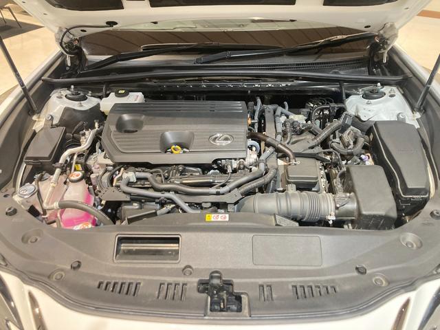 ＥＳ ＥＳ３００ｈ　Ｆスポーツ　ワンオーナー／ＴＲＤフルエアロ／サンルーフ／デジタルインナーミラー／Ｆ　ＳＰＯＲＴ専用オレンジキャリパー／Ｌ　ＴＥＸブラックアルミ／パワーバックドア／置く充電／ＢＳＭ／ＡＣＣ（追従機能）／（45枚目）