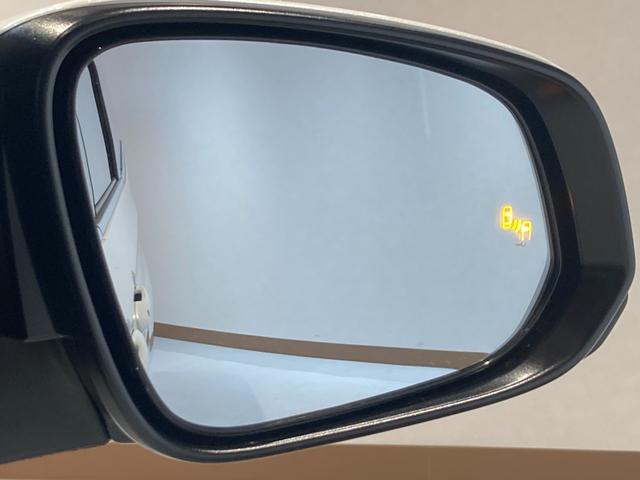 �a�r�l�i�u���C���h�X�|�b�g���j�^�[�j