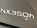 ＮＸ３５０ｈ　Ｆスポーツ　新車保証書／点検記録簿／カードキー／パノラミック／ＨＵＤ／ＢＳＭ／パワーバックドア／本革シート／デジタルインナーミラー／パーキングサポート／電動シート／社外マフラー／追従走行（ＡＣＣ）（51枚目）