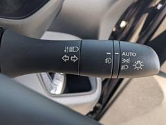 ���������ʡ������������������礭�ʱ����ʤ��������ݤäƤ���ޤ��ʡ������ˣ��¿������Υɥ饤�֤Ǥ���褦�˳Ƽ����ʤΤ������פ��ޤ��� 5