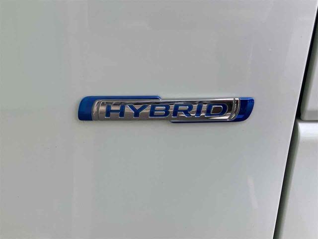 ���������܂��Đ��ɗL��������܂��I�I���񂲗��X���Ē����A���ۂɂ����ɂȂ��Ē�����΂Ǝv���܂��B���q�l����̂��A�����X�^�b�t�ꓯ�A�S��肨�҂����Ă���܂�