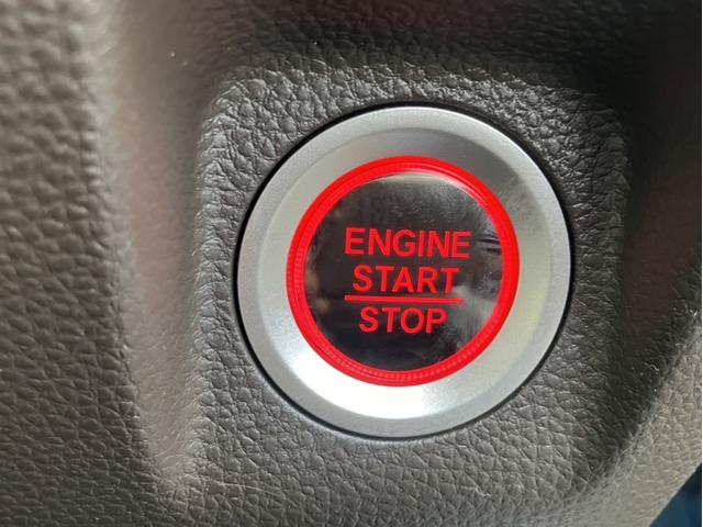 ���[�ԑO�ɓ_�������������܂��B�z���_���K�f�B�[���[�Ƃ��čׂ��������e�i���X�P�A���s���Ă܂��I�ǂ������S���Ă��C���������I