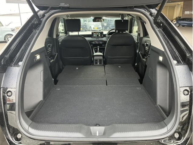 ���A�Ȃ�|���΍L�X�Ƃ�����Ԃ̏o���オ��A�ו�����������ڂ����܂���B