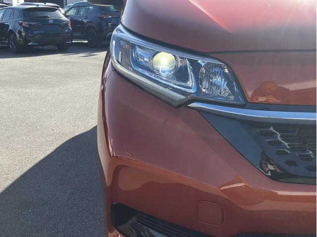 �L���A���邭�A��ԁA�J�V���̈��S�������コ���Ă����k�d�c�w�b�h���C�g��